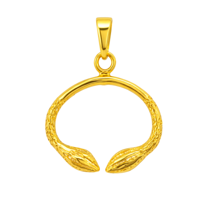 Cocoa Pod Head Pendant